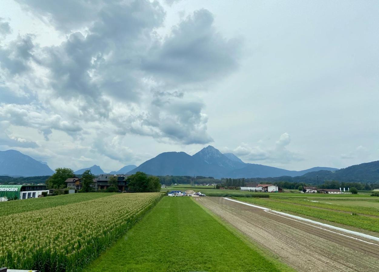 Wohnen Mit Bergausblick Διαμέρισμα Wals-Siezenheim Εξωτερικό φωτογραφία